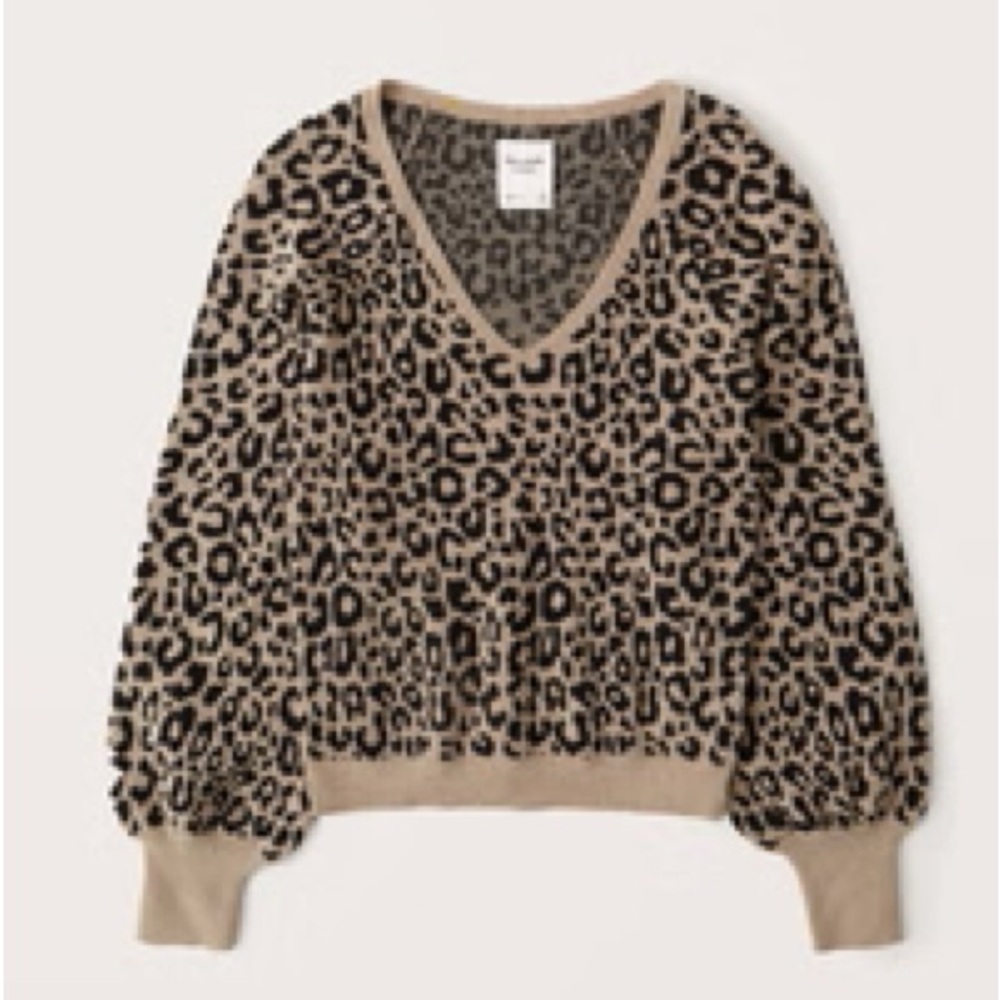 Abercrombie & Fitch Leopard Print V-Neck Sweater
